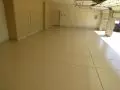img 1559